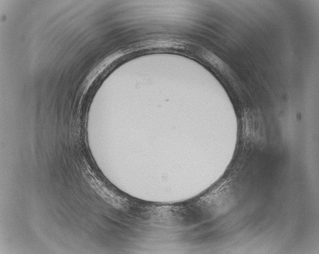 X0000054370828200507291044