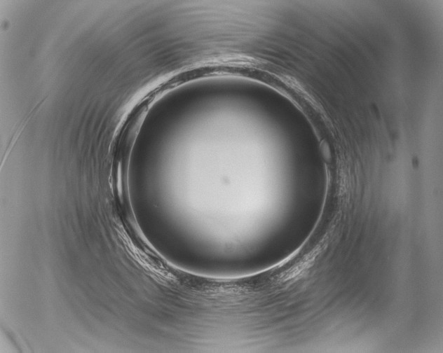 X0000054370830200507291044