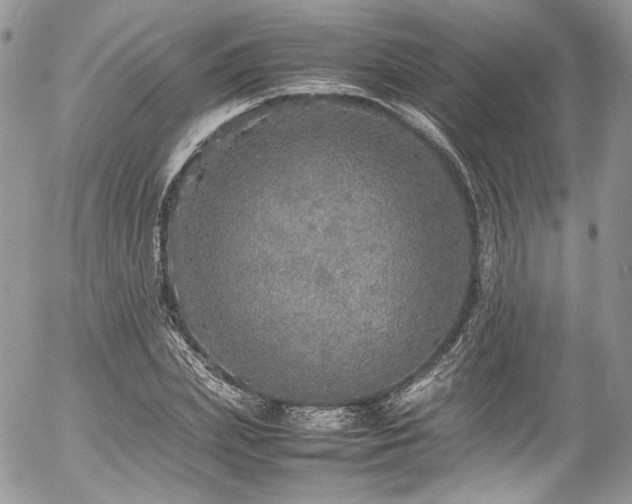 X0000054370831200507291044