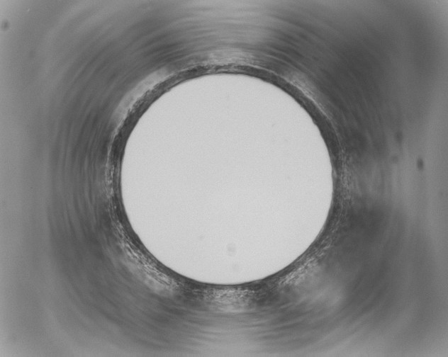 X0000054370832200507291044