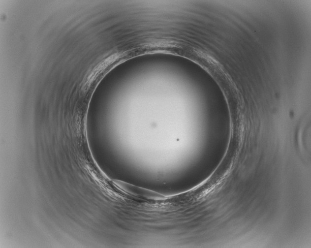 X0000054370833200507291044