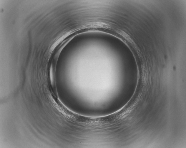 X0000054370834200507291044