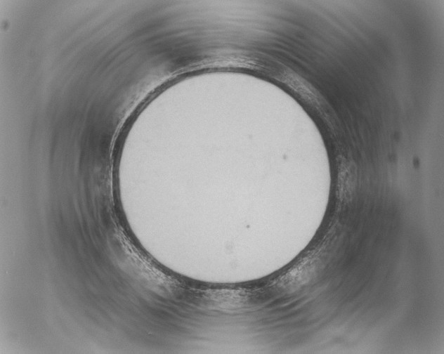 X0000054370836200507291045