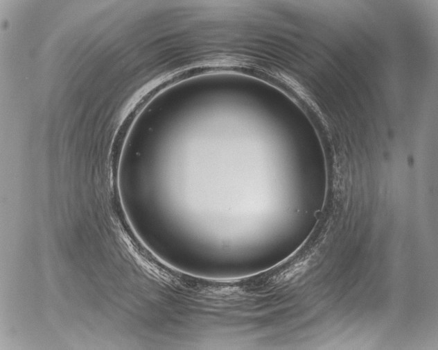 X0000054370837200507291045