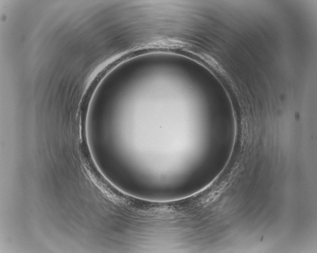 X0000054370838200507291045