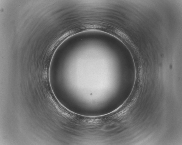 X0000054370841200507291045