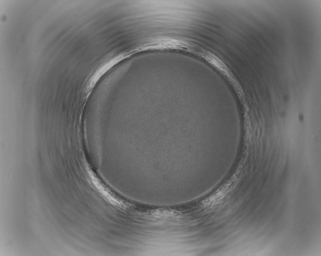 X0000054370842200507291045