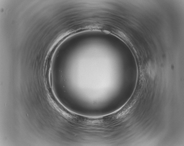 X0000054370843200507291045