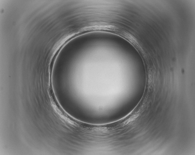 X0000054370844200507291045