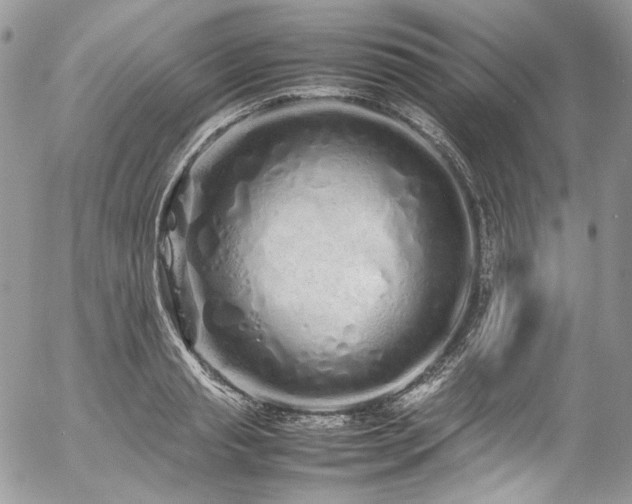 X0000054370845200507291045