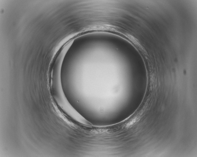 X0000054370846200507291045