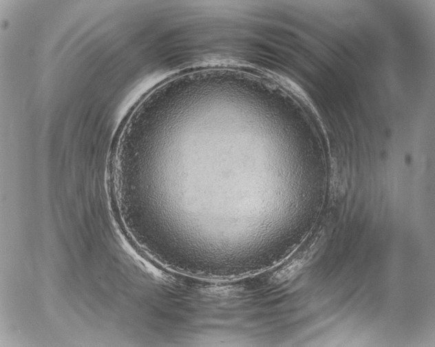 X0000054370847200507291045