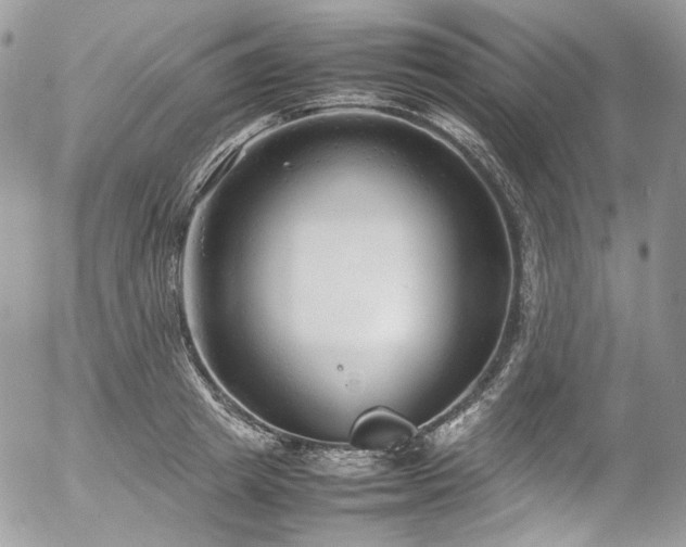 X0000054370849200507291045