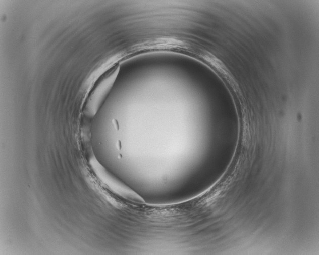 X0000054370850200507291045