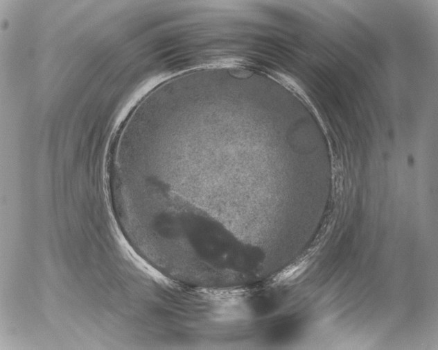 X0000054370851200507291045