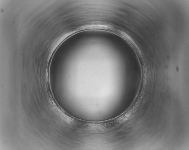 X0000054370852200507291045