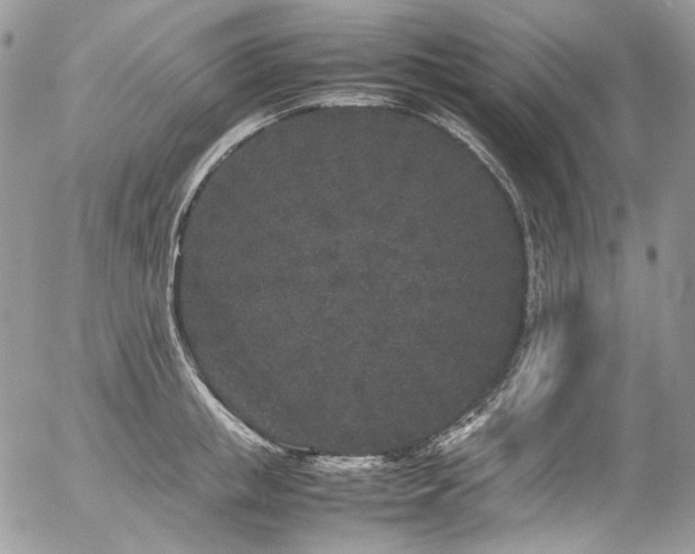 X0000054370853200507291045