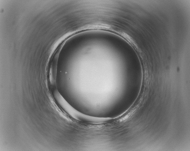 X0000054370854200507291045