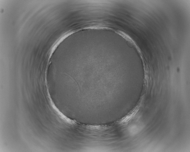 X0000054370855200507291045