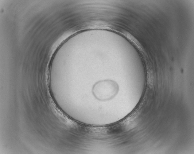 X0000054370856200507291045