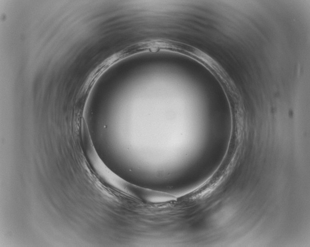 X0000054370857200507291045