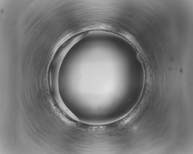 X0000054370858200507291045