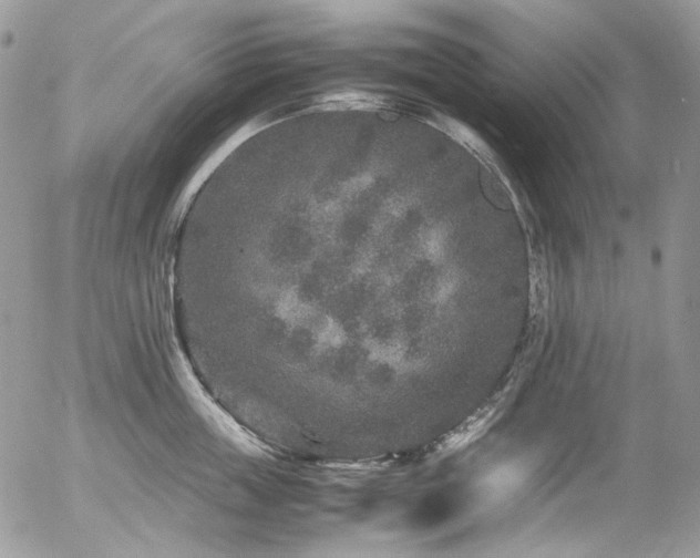 X0000054370859200507291045