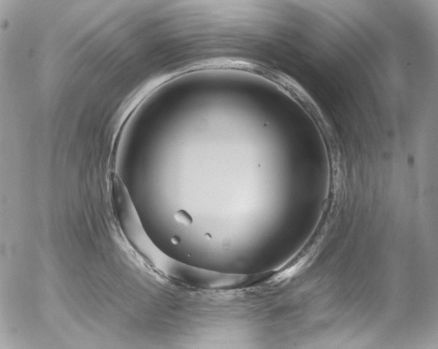 X0000054370860200507291045