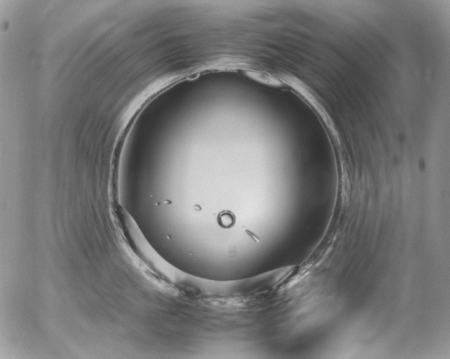 X0000054370861200507291045