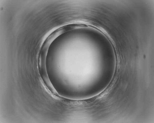 X0000054370862200507291045