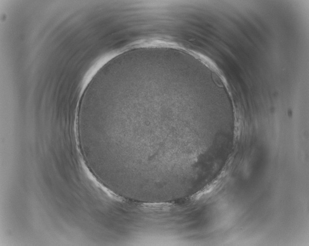 X0000054370863200507291045