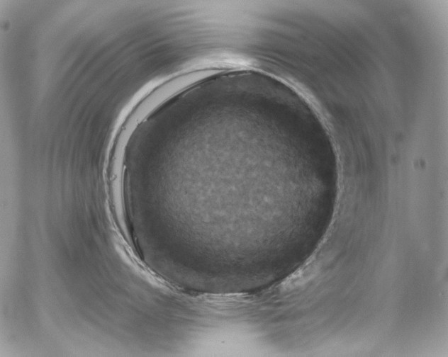 X0000054370864200507291045