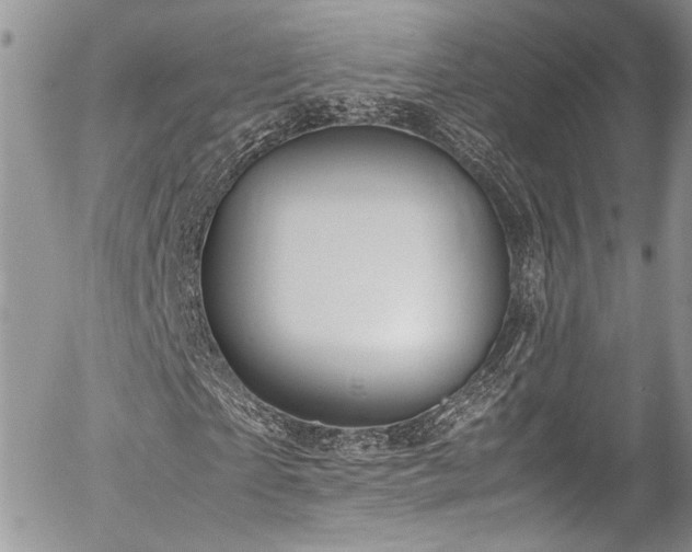 X0000054370865200507291044