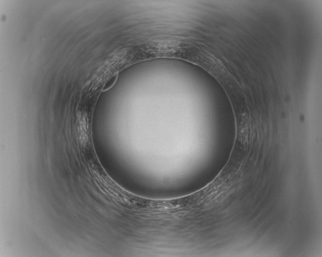 X0000054370866200507291044