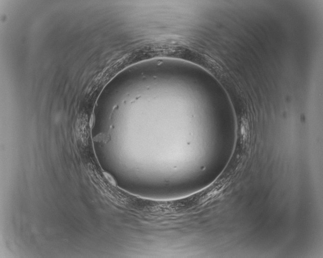 X0000054370867200507291044