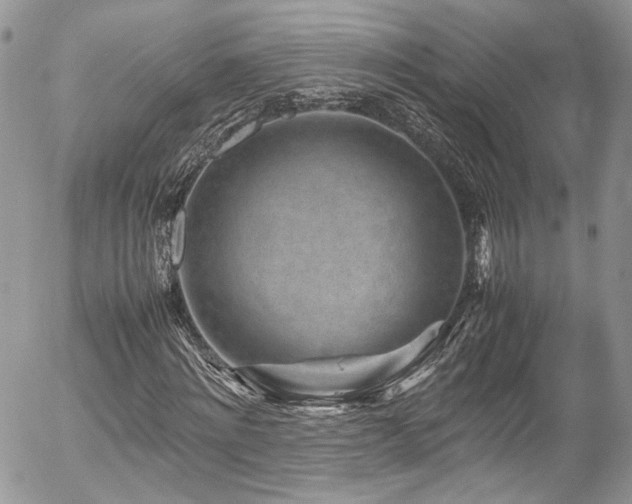 X0000054370868200507291044