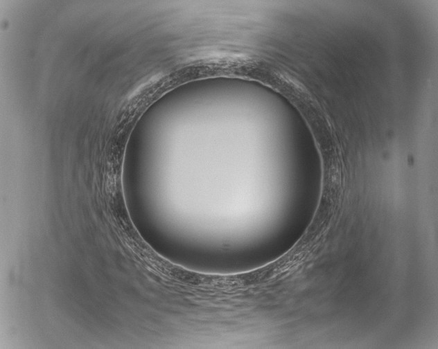 X0000054370869200507291044