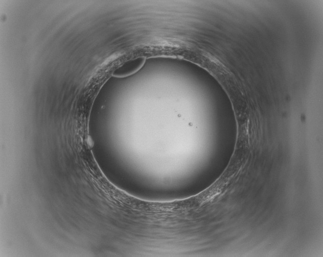 X0000054370870200507291044