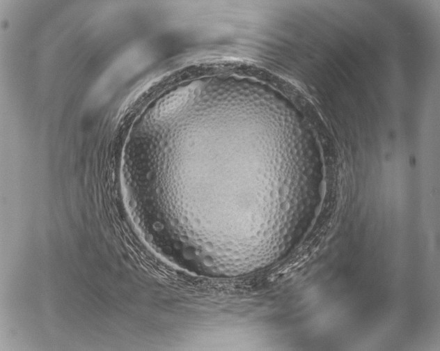 X0000054370871200507291044