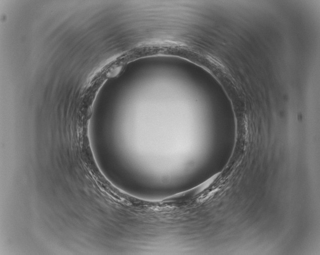 X0000054370872200507291044