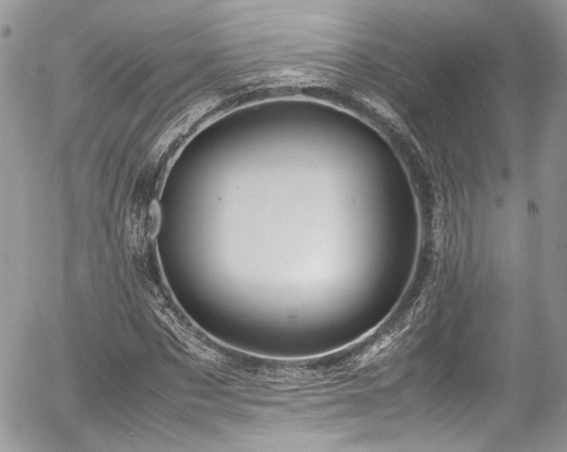 X0000054370873200507291044