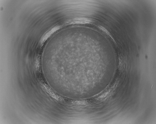 X0000054370874200507291044