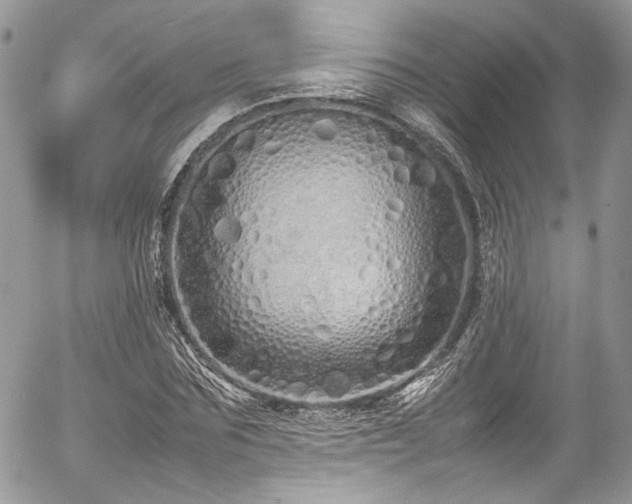 X0000054370875200507291044