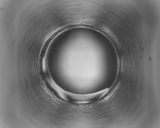 X0000054370876200507291044