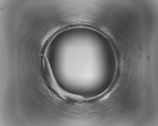 X0000054370877200507291044