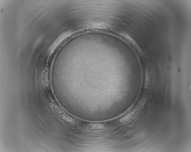 X0000054370878200507291044