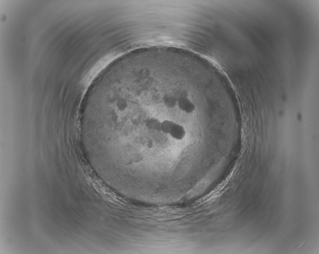 X0000054370879200507291044