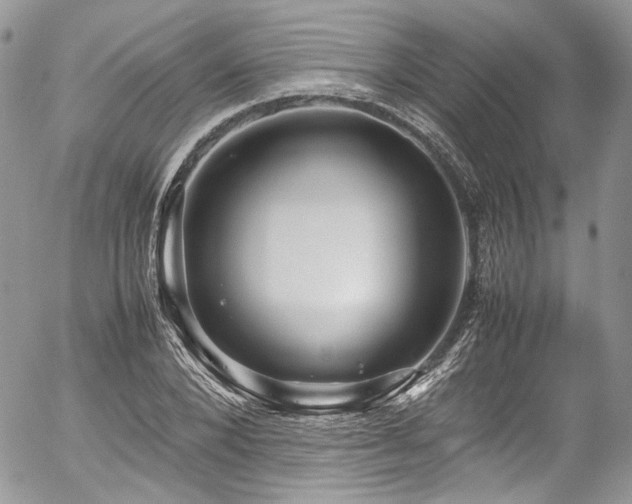 X0000054370880200507291044