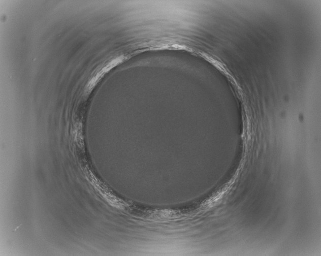 X0000054370881200507291044