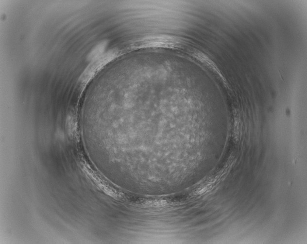 X0000054370882200507291044